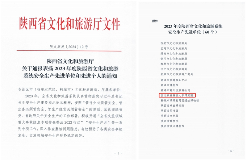 光影魔术手拼图.jpg