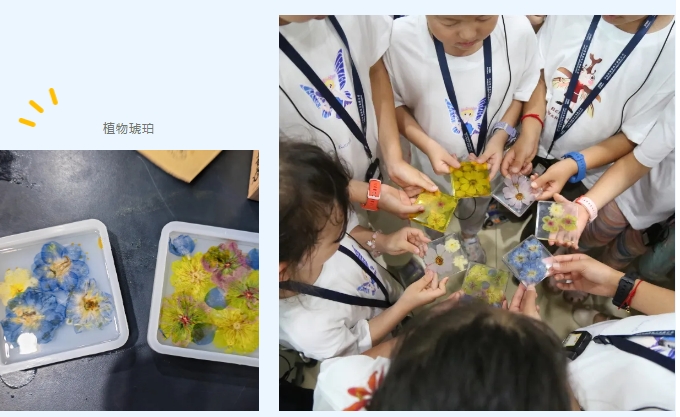 微信截图_20240812103207.png