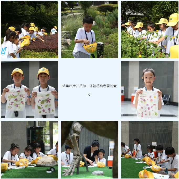 微信截图_20240812103331.png