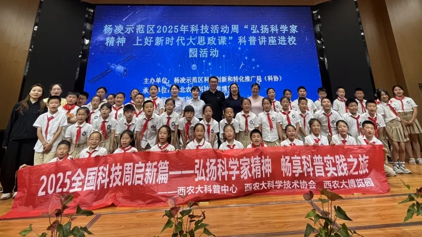 图片 10.png