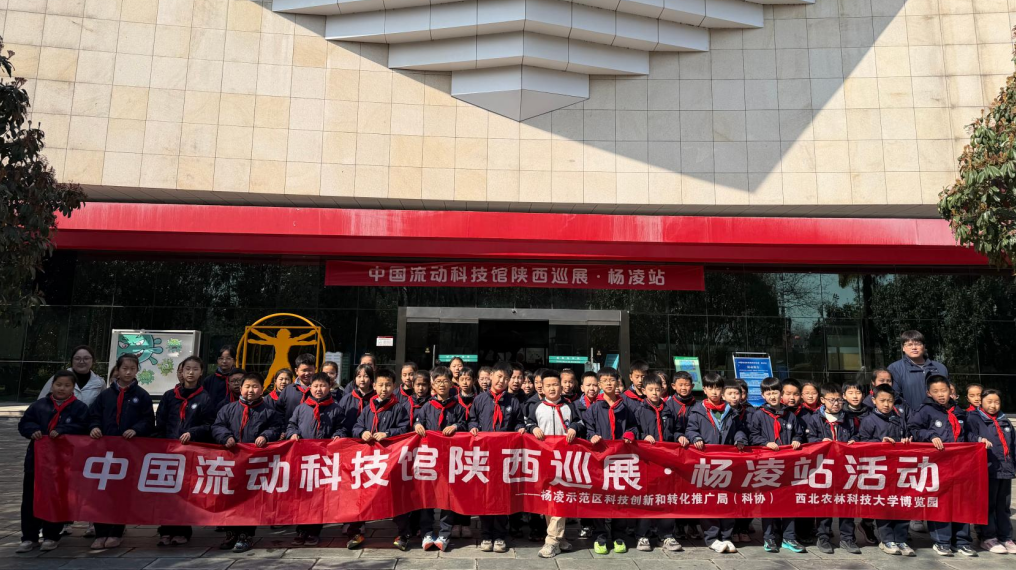 高新四小学生合影.png