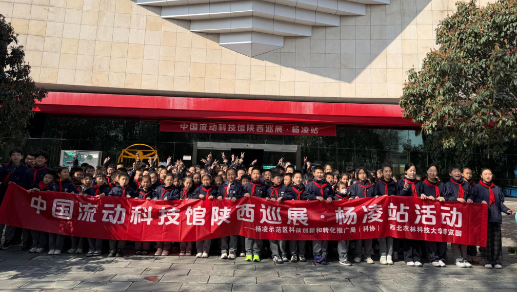 高新一小学生合影.png