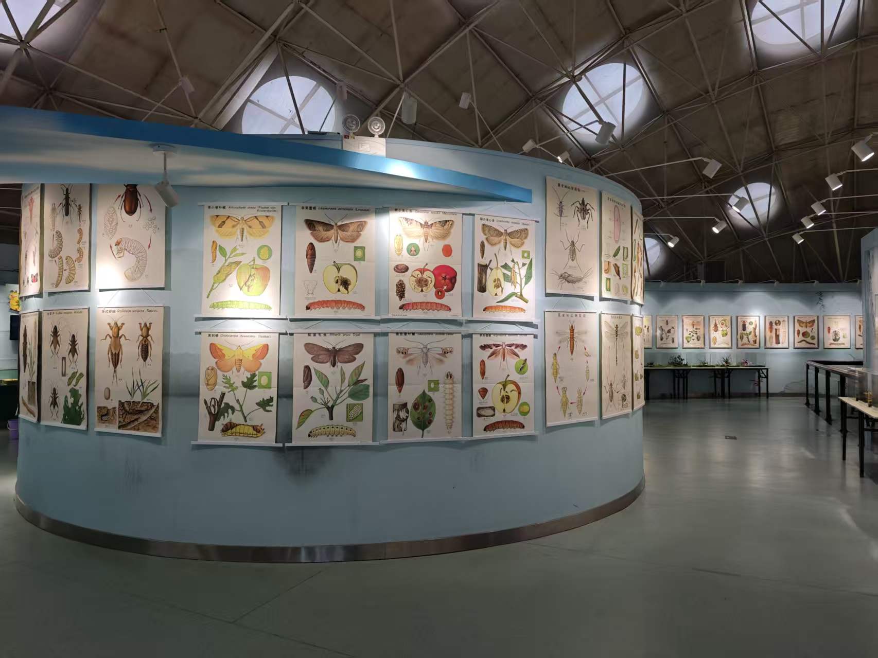 丹青虫鉴——八十年代学者手绘昆虫教学挂图特展