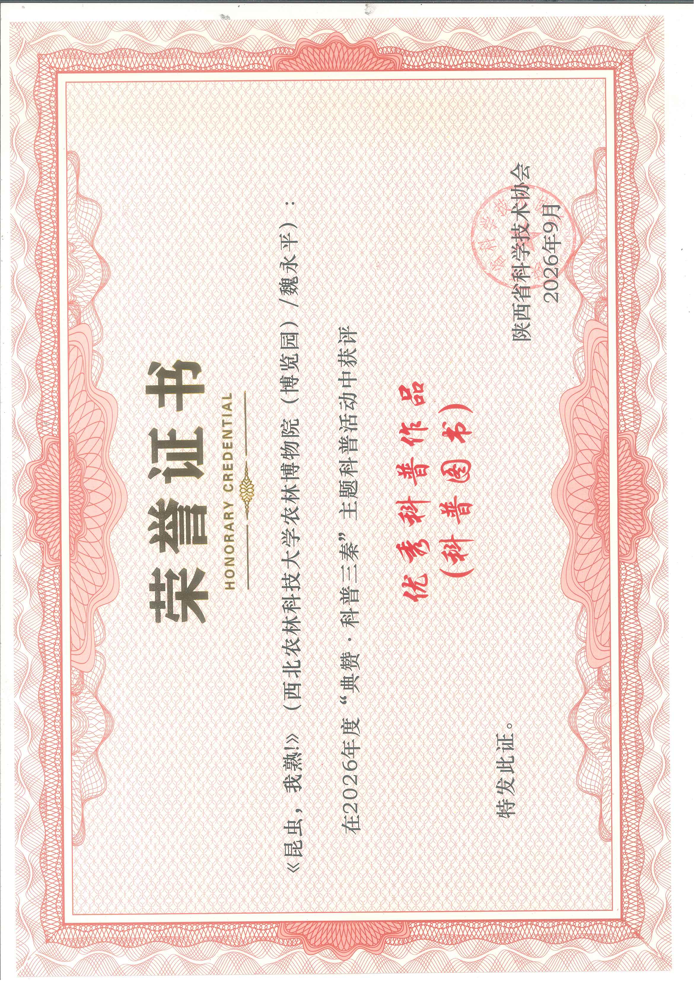 荣誉证书.jpg