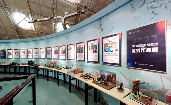 第四届昆虫微景观优秀作品展.jpg